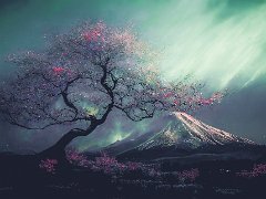 Paysages du Monde
